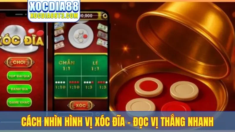 Cách nhìn hình vị xóc đĩa