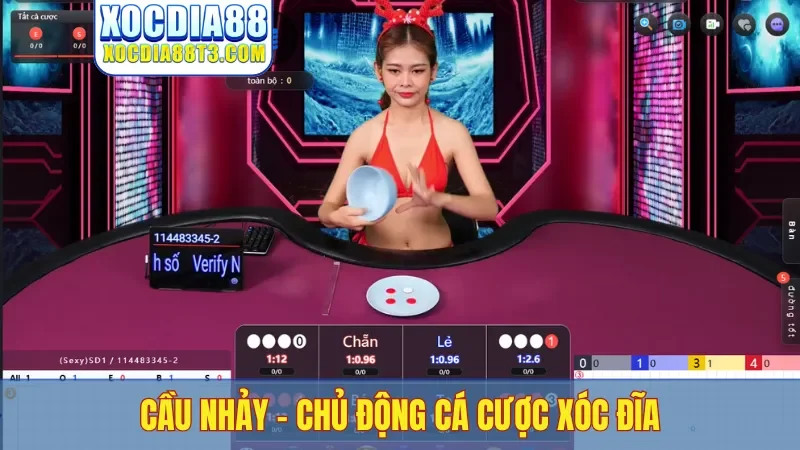 Cầu nhảy
