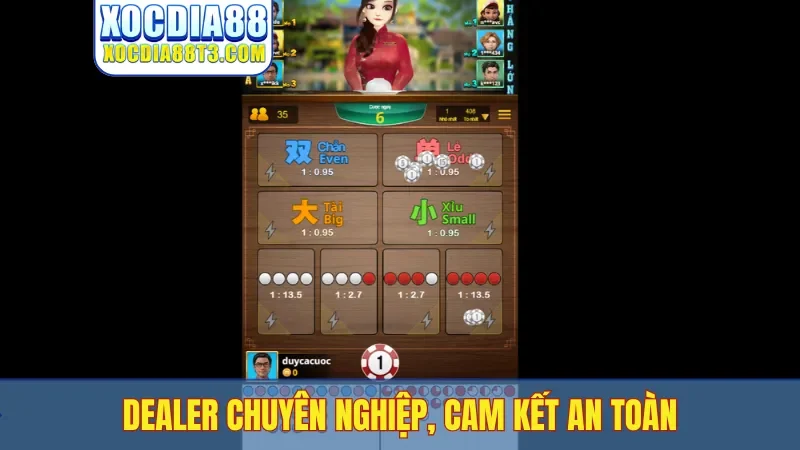 Dealer chuyên nghiệp, cam kết an toàn