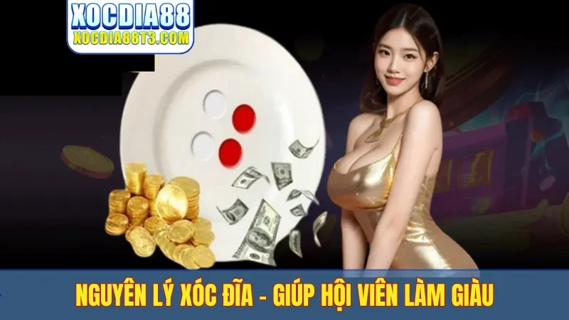 Nguyên lý xóc đĩa