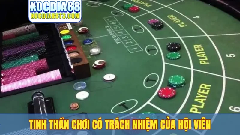 Tinh thần chơi có trách nhiệm của hội viên