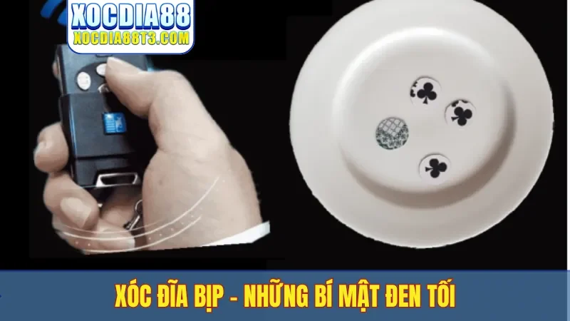 Xóc đĩa bịp